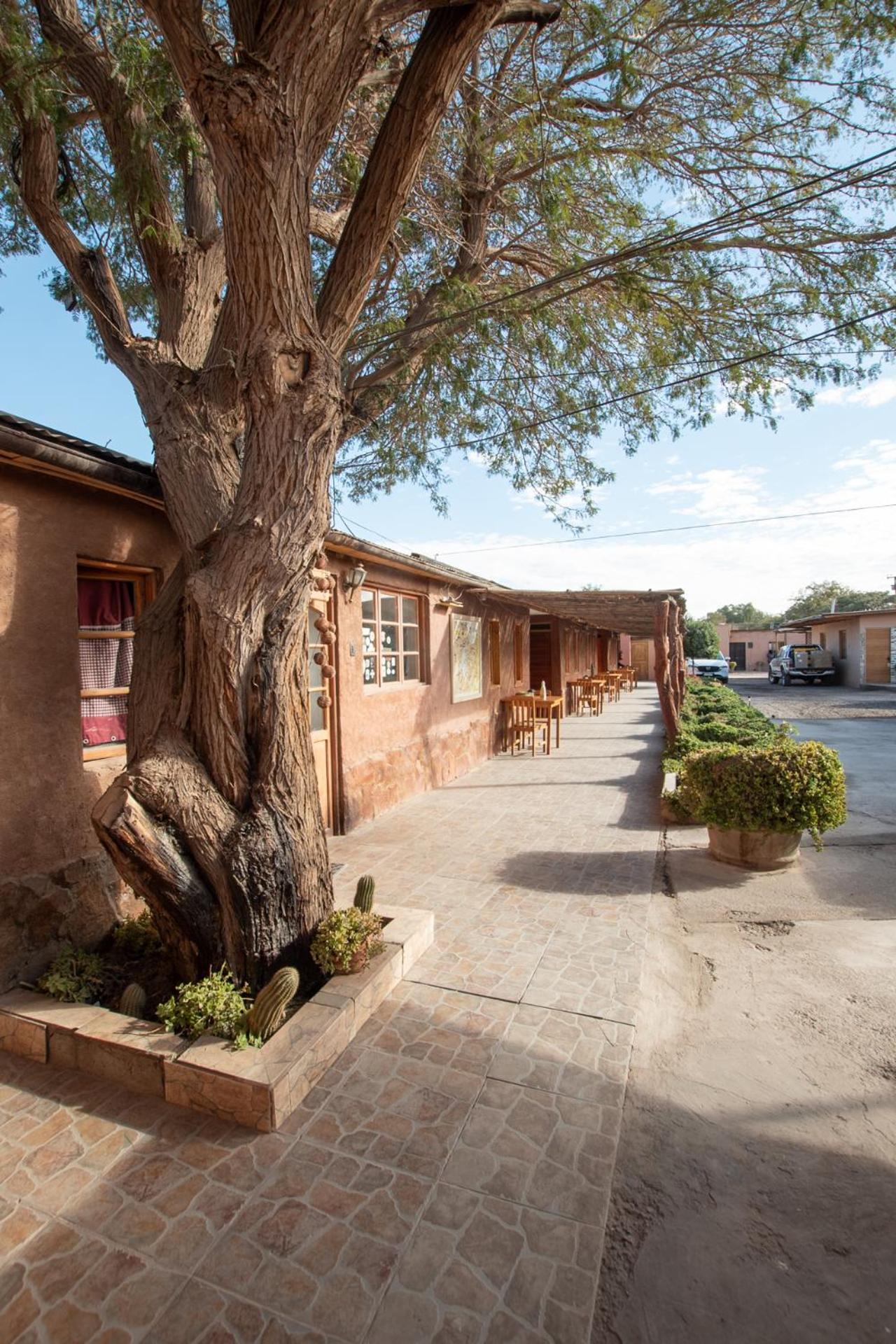 Casa Lickana B&B San Pedro de Atacama Exterior photo